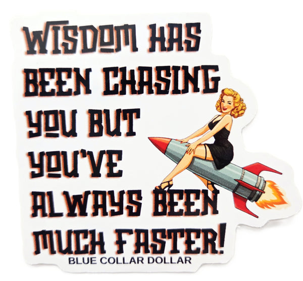 STICKER - Wisdom Has Been Chasing You