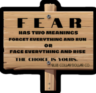 STICKER - F.E.A.R. - definition