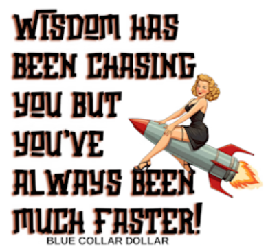 STICKER - Wisdom Has Been Chasing You